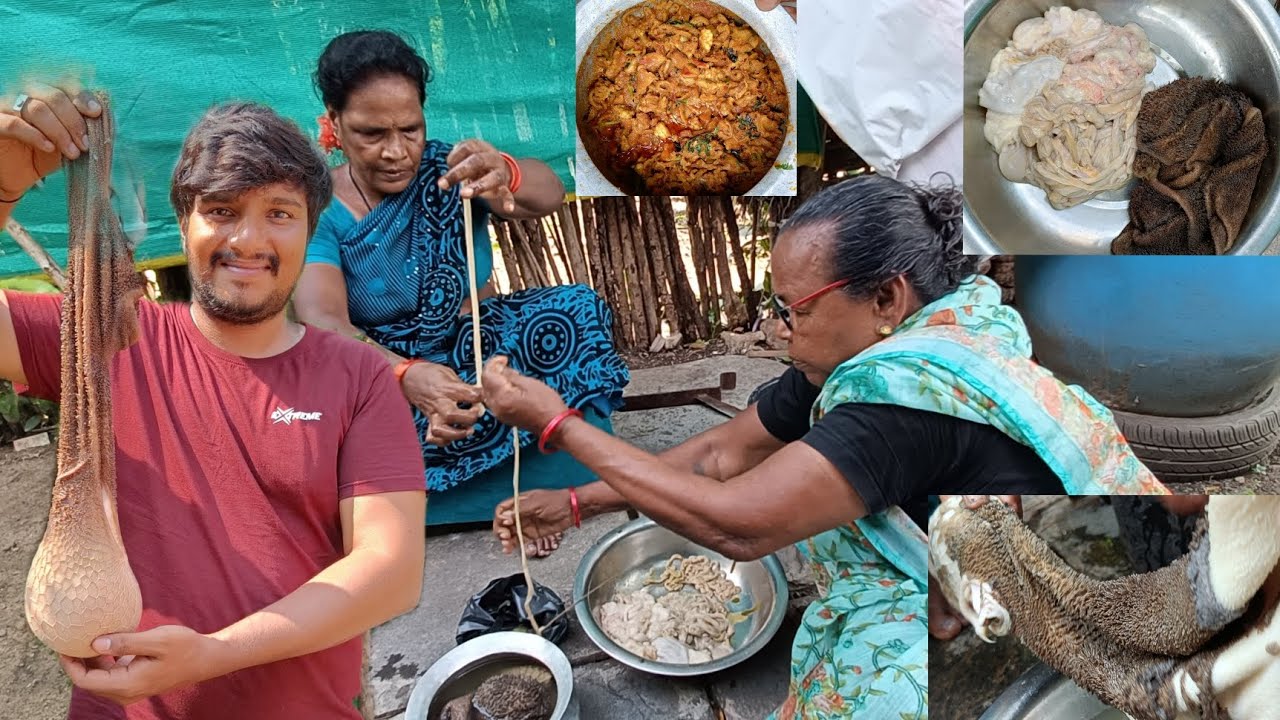 బోటి కూర 😋 & బోటి Cleaning | Boti Curry | Hari Akula
