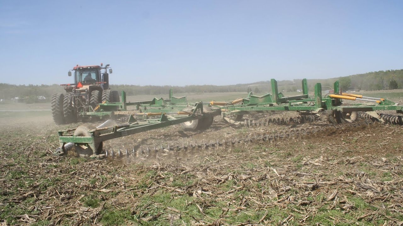 Kelly Diamond Harrow 45