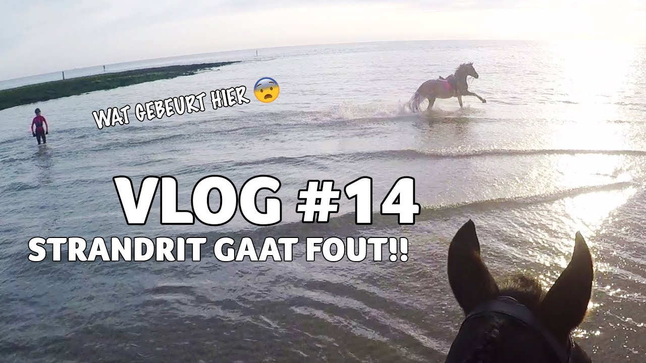 OMG.. STRANDRIT MET JOANNE GAAT FOUT | VLOG #14 | Epplejeck