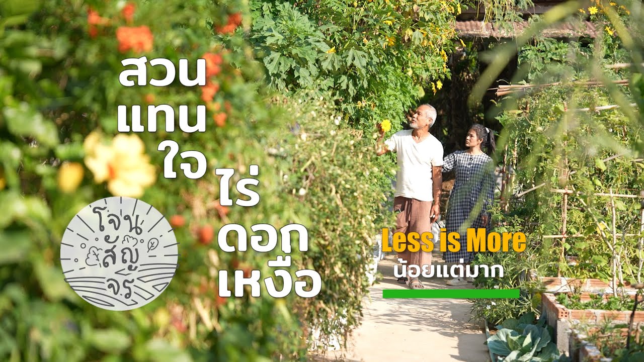 โจนสัญจร Ep4 เมล็ดพันธุ์สร้างชีวิต @สวนแทนใจไร่ดอกเหงื่อ
