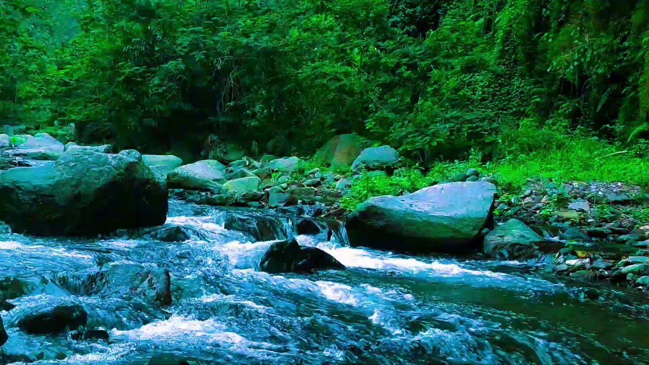 Rapid River Flow  10 Hours Relaxing White Noise for Sleeping