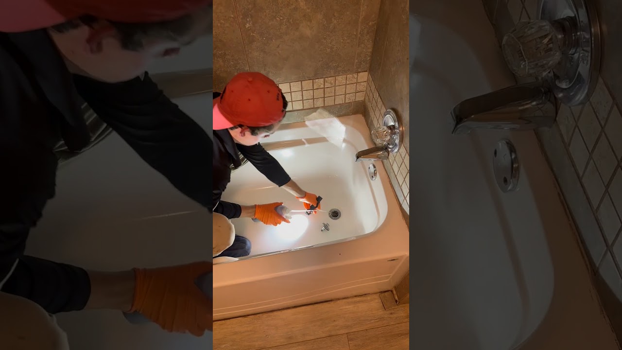How to Get Rid of Drain Flies #pestcontrol #drainflies