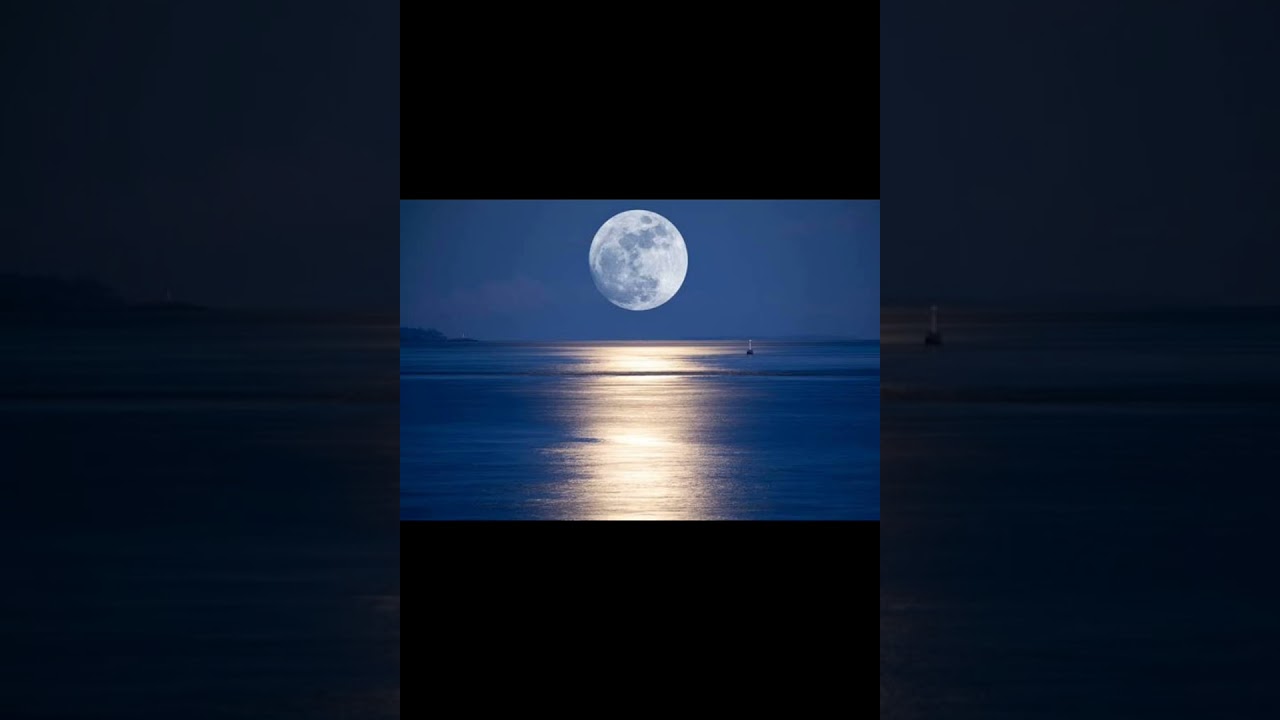 The Beauty of Nature 