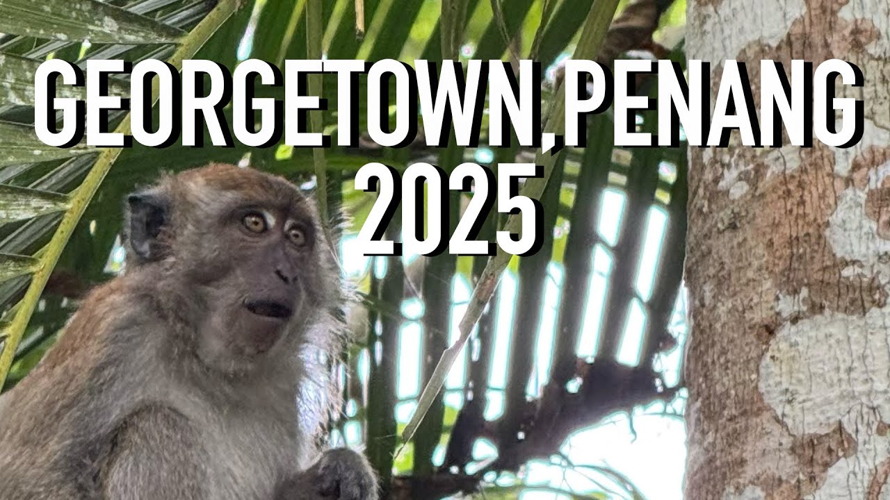 Georgetown 2025