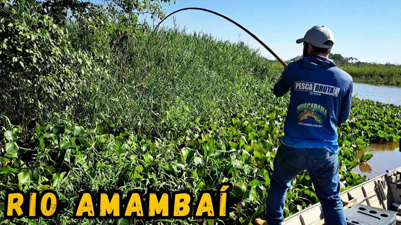 PESCARIA DE TRAÍRA COM VARA DE BAMBU , MELHOR ISCA PARA PESCAR TRAÍRA GIGANTE./PESCARIA RAIZ.