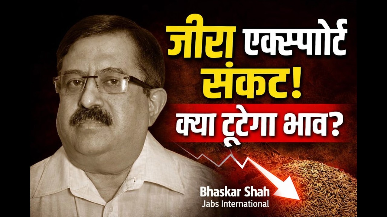जीरा एक्सपोर्ट की आफत, कैसे मिलेगी राहत?