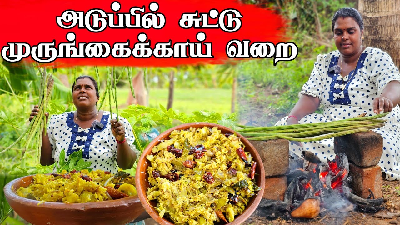 தோட்டத்தில் செய்த முருங்கைக்காய் வறை | Our Village life ♥️ | vanni vlog