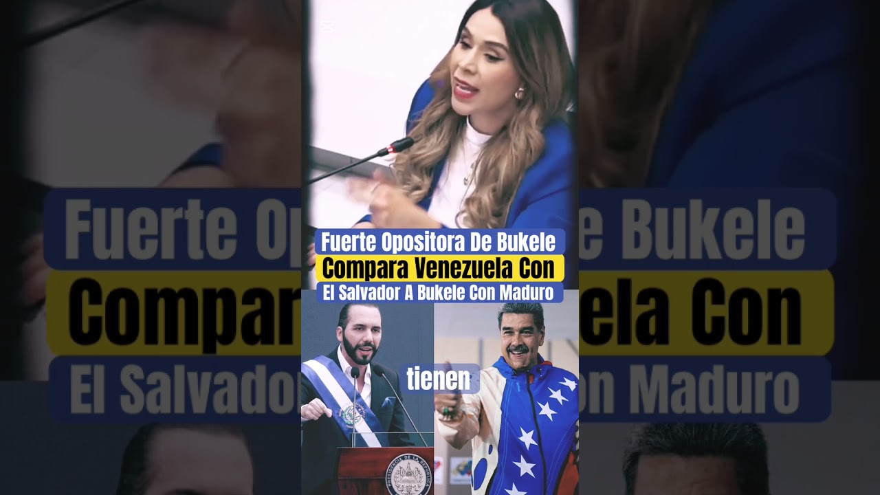 Nayib Bukele La Oposicion