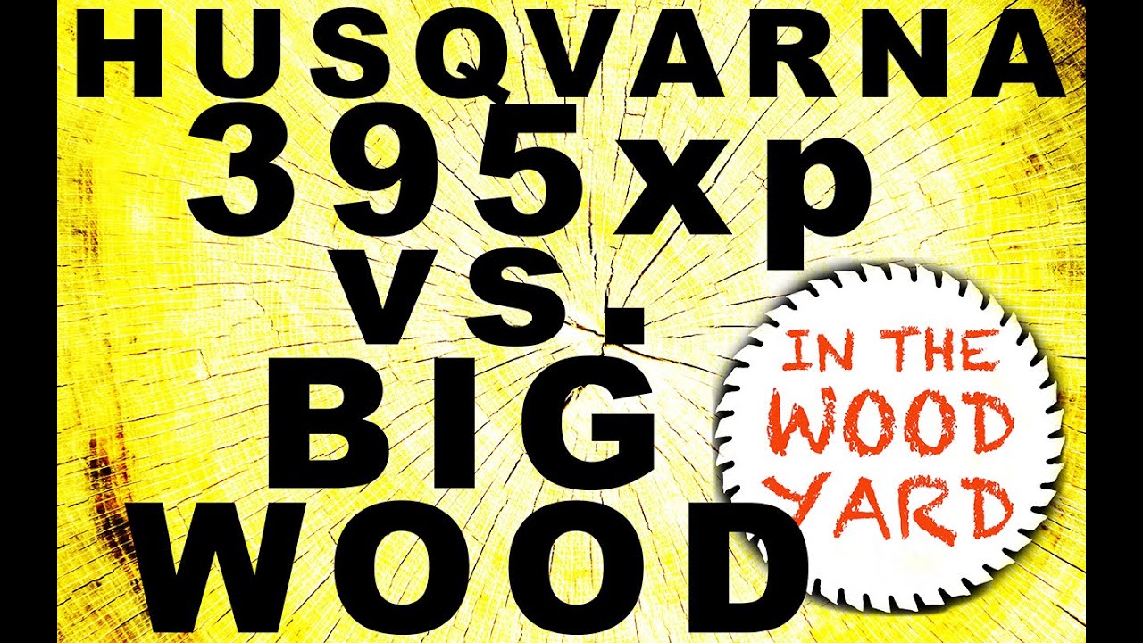 #230 -  Husqvarna 395XP vs. HUGE wood! - In My Brothers Woodyard