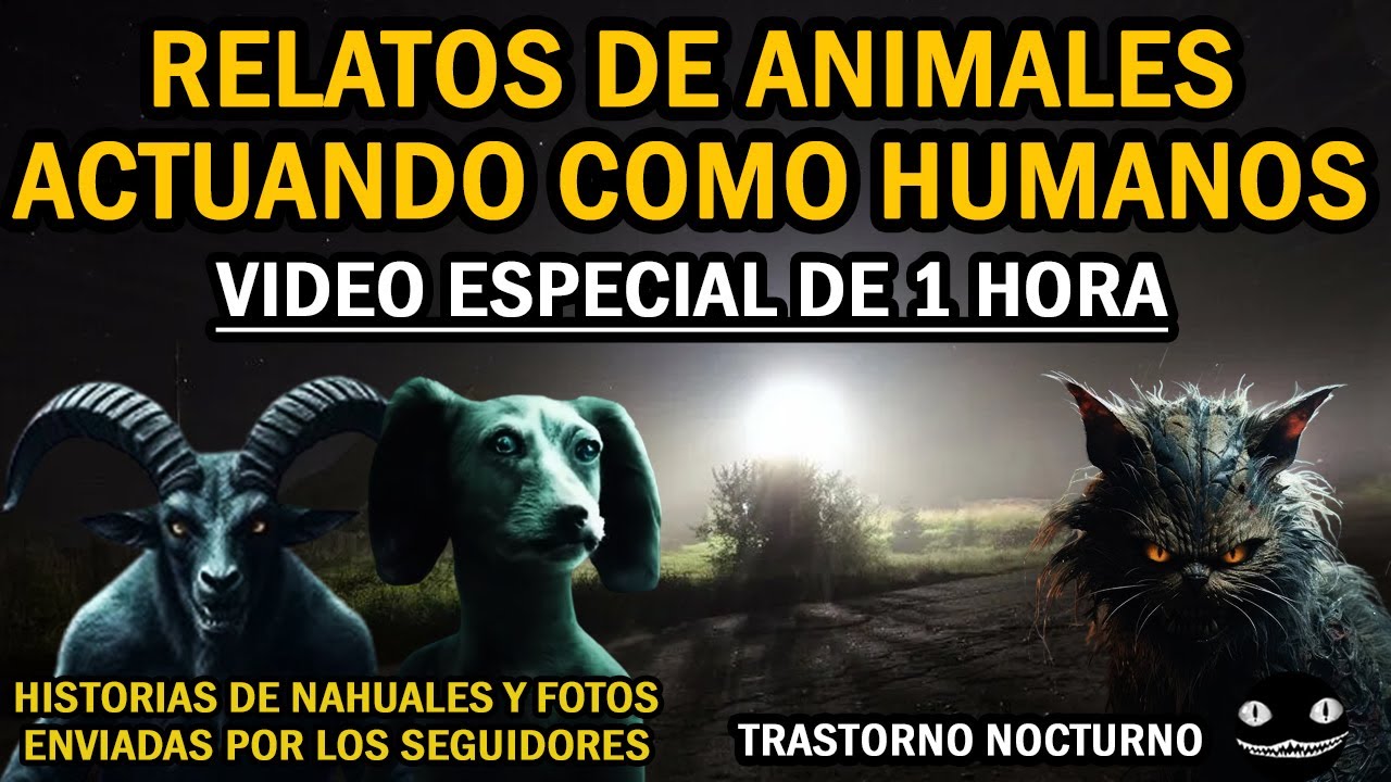 1 HORA DE RELATOS DE ANIMALES ACTUANDO COMO HUMANOS | NUEVA EDICIÓN