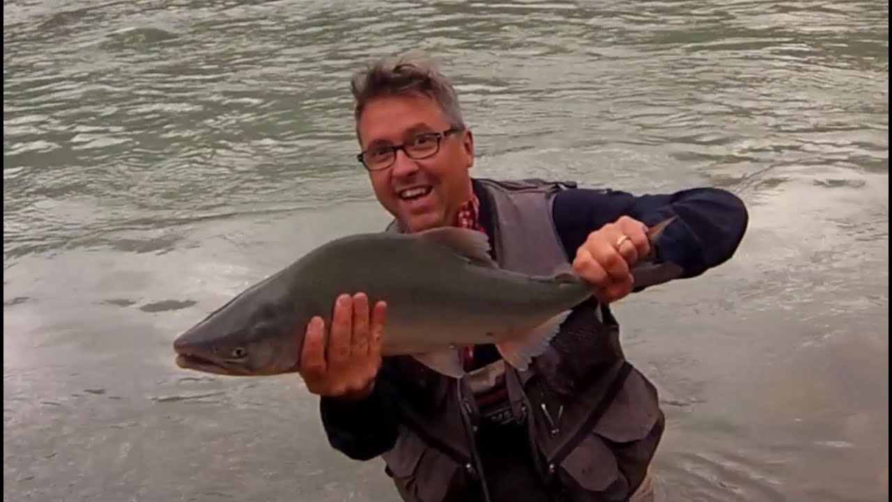 Fliegenfischen Yukon Alaska - Fly fishing 2015