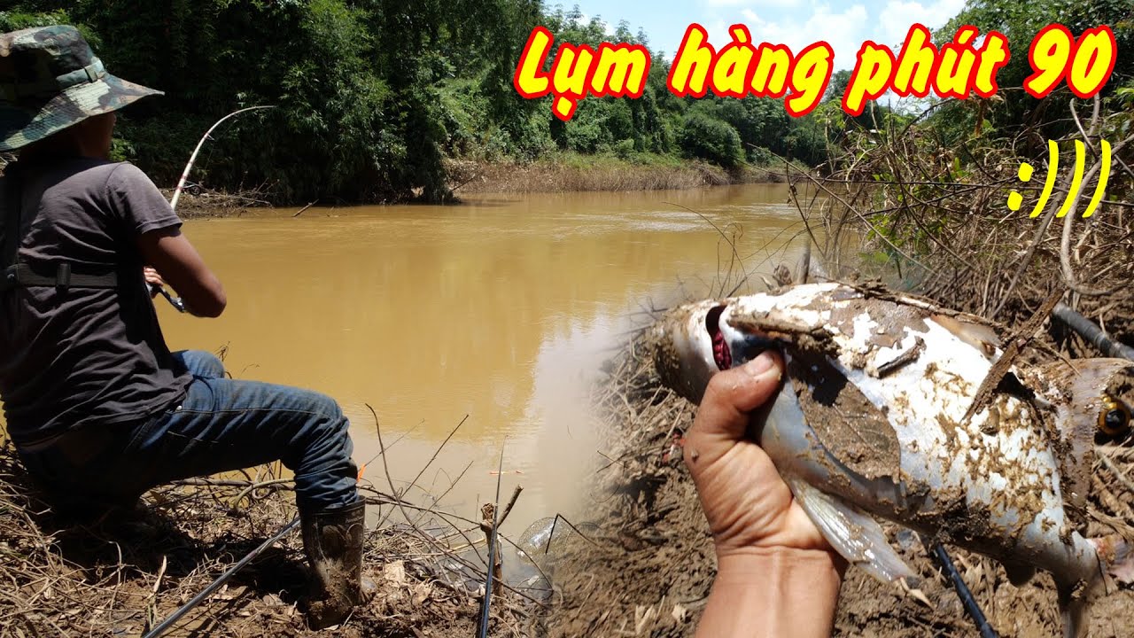 Câu cá suối sau lũ, nước lớn cá sông xâm lầm vào suối ✅