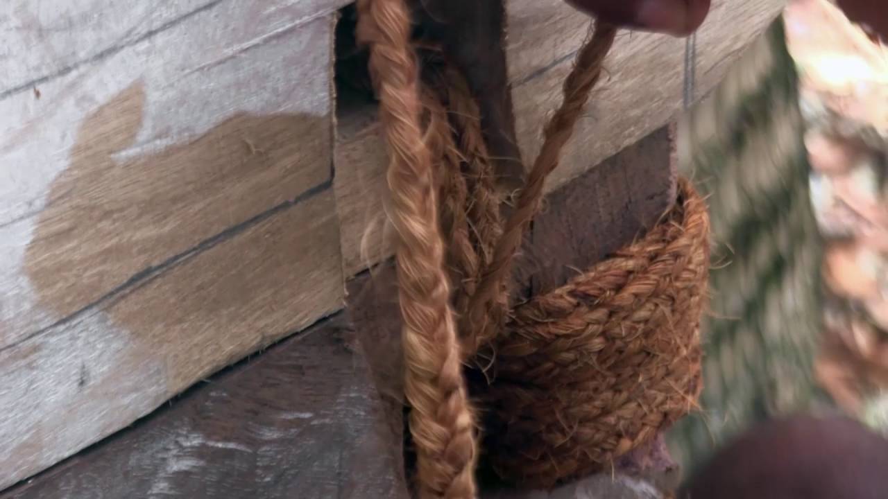 Lashing a Te Puke voyaging canoe