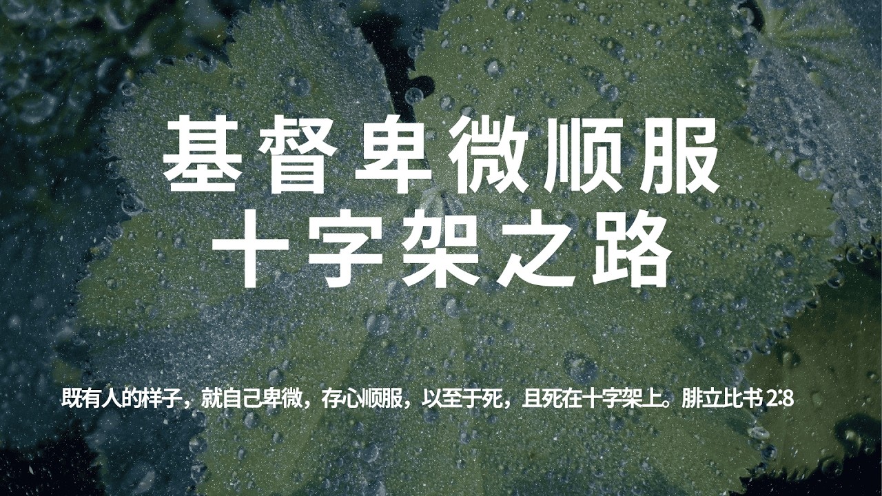 【五点晨祷】基督卑微顺服十字架之路【腓立比书 2:8】既有人的样子，就自己卑微，存心顺服，以至于死，且死在十字架上。