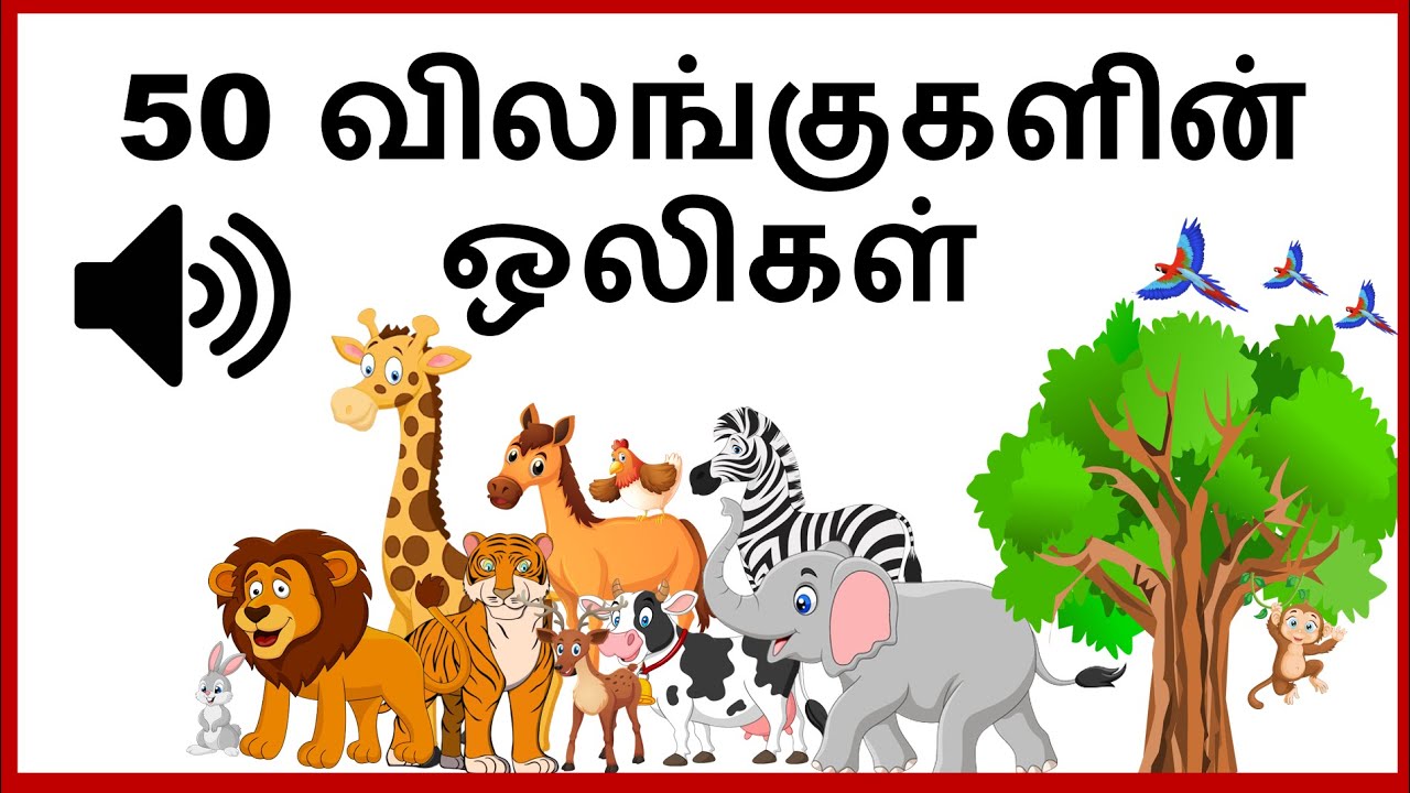 Animal Sounds | Animal Sound | Tamil Animals Name | Vilangugal peyargal | Animals sound Tamil