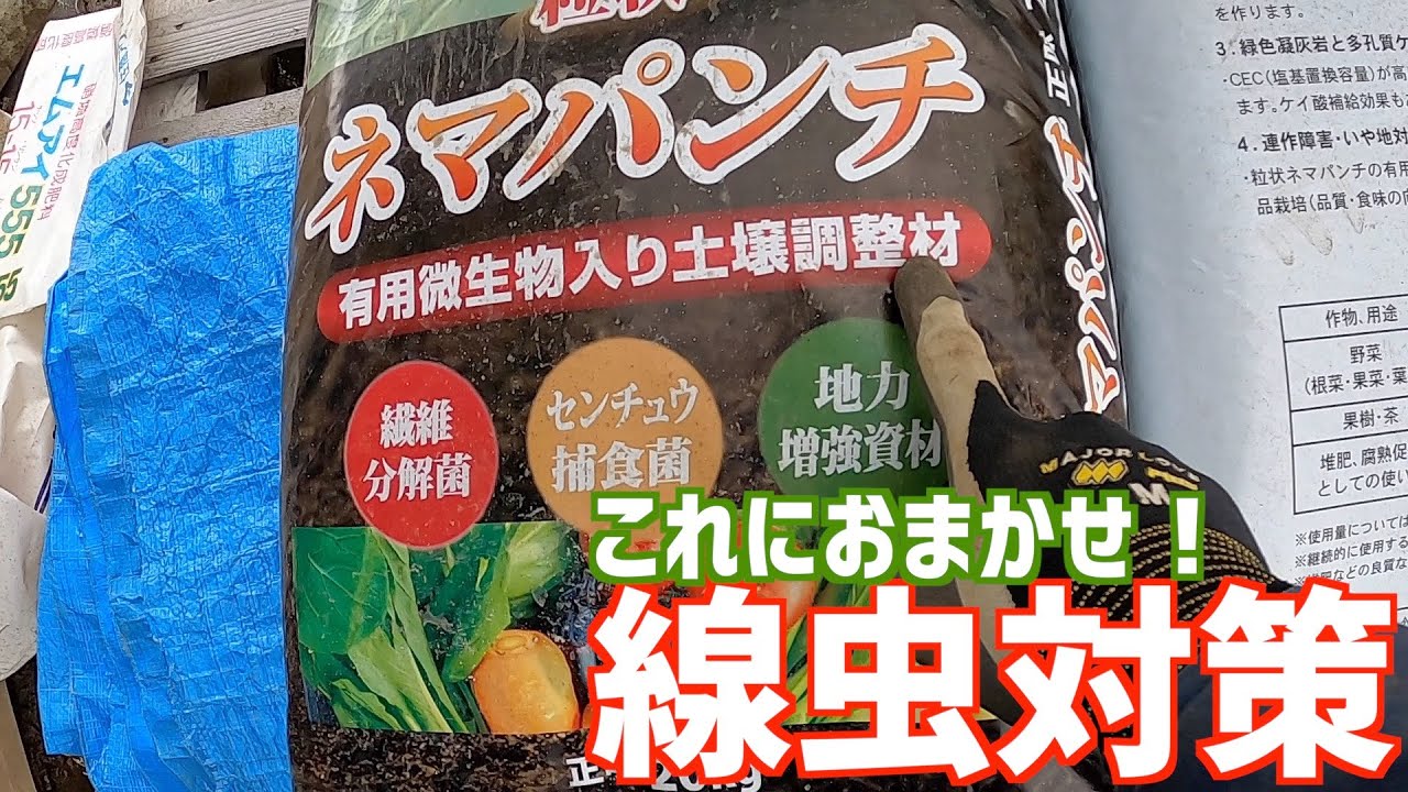 センチュウ対策にお困りではありませんか？センチュウ捕食菌を使った効果的な土壌改良と有用微生物による土壌改良