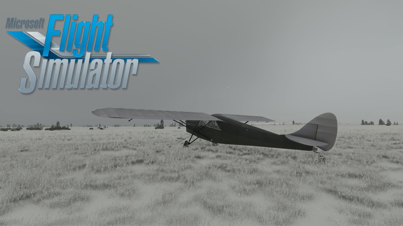 Flying a Plane With Snow Ski's | Microsoft Flight Simulator
