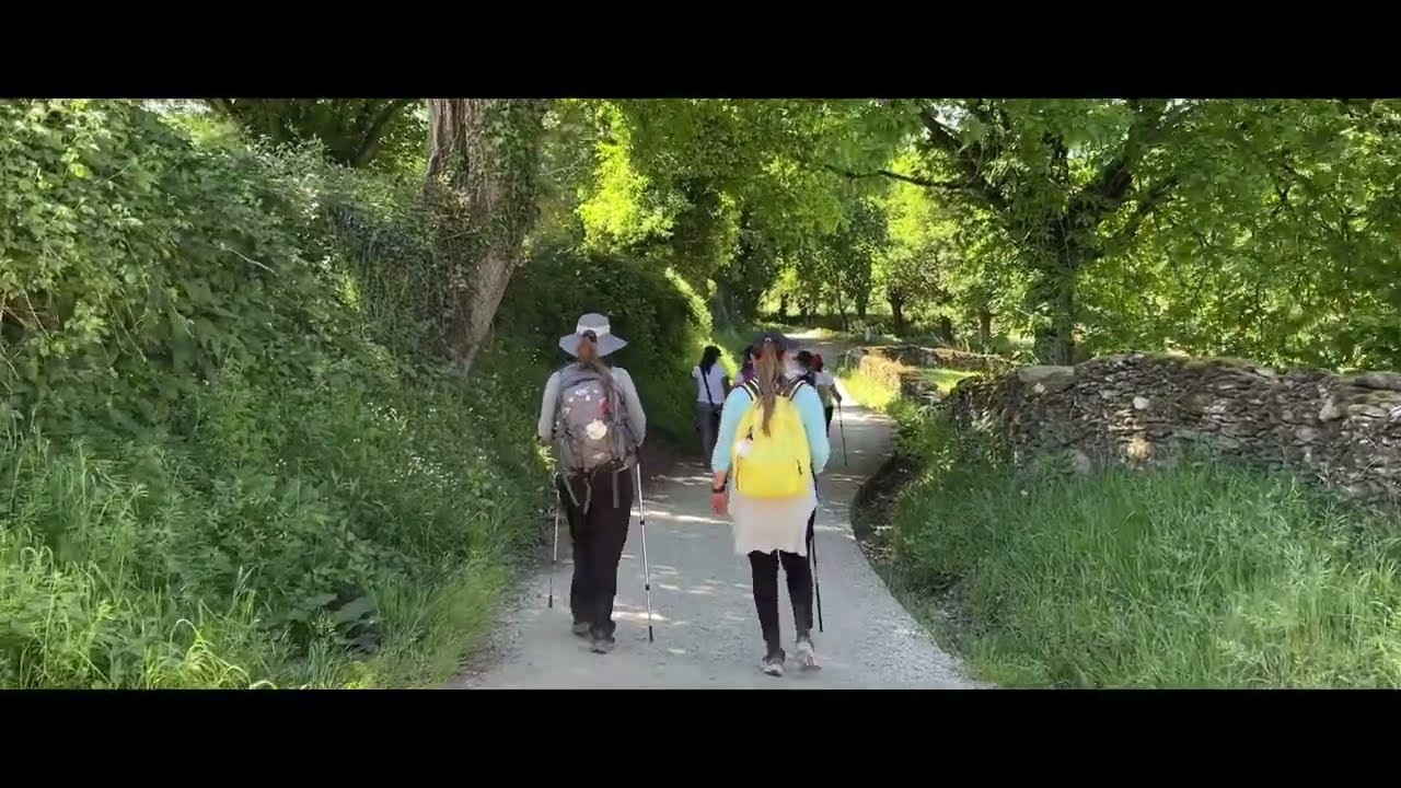 Auf dem Jakobsweg - Camino Francés: von Sarria bis Santiago (Mai 2022)
