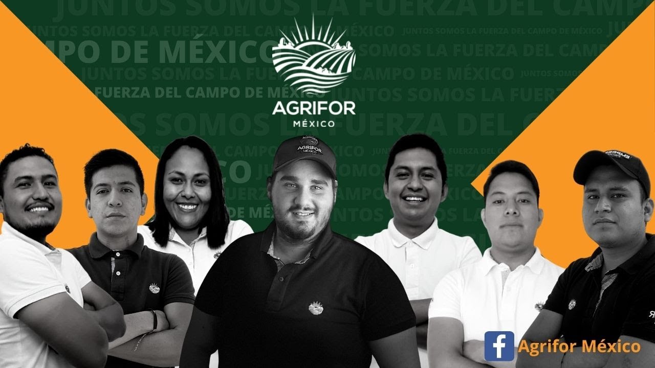 Brigada Agrifor Determinación de sanidad de un planta por medio de medición de grados Brix