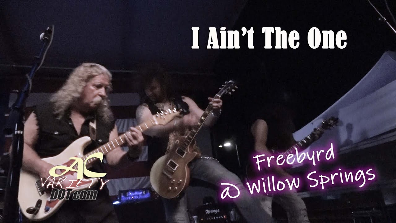 I Ain't The One Lynyrd Skynyrd