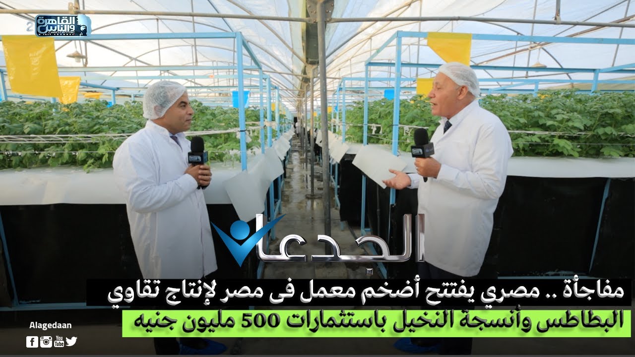مفاجأة .. مصري يفتتح أضخم معمل فى مصر لإنتاج تقاوى البطاطس وأنسجة النخيل باستثمارات ٥٠٠ مليون جنيه