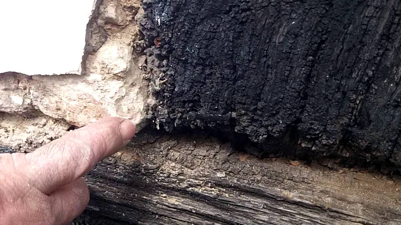 Surveying a Grade 2* timber frame - what we look for.