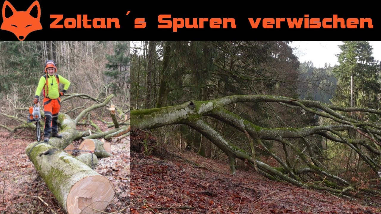 Sturmschaden beseitigen