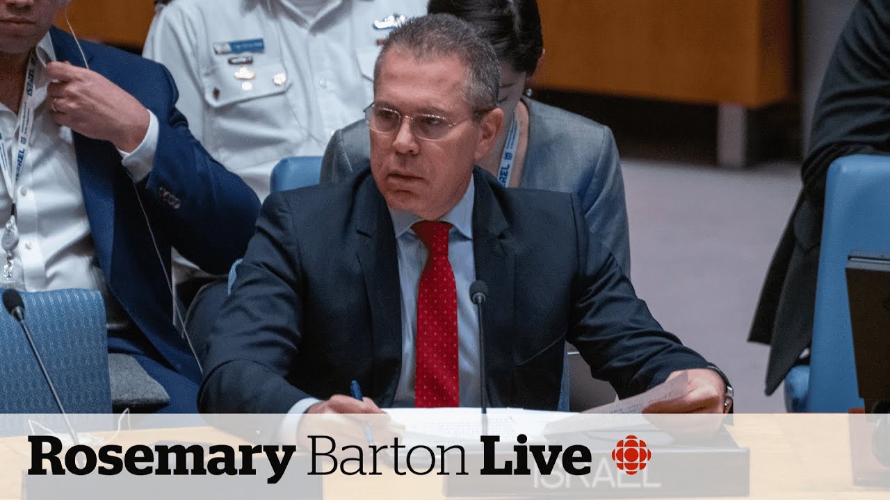 Israel's ambassador to UN says his country won't tolerate Hezbollah’s cross-border aggressions