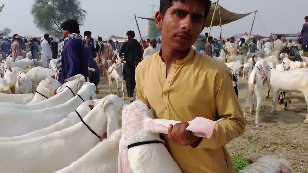 9 March 2026 19 RamzanallMubarak mohammadpur mandi ka visit 