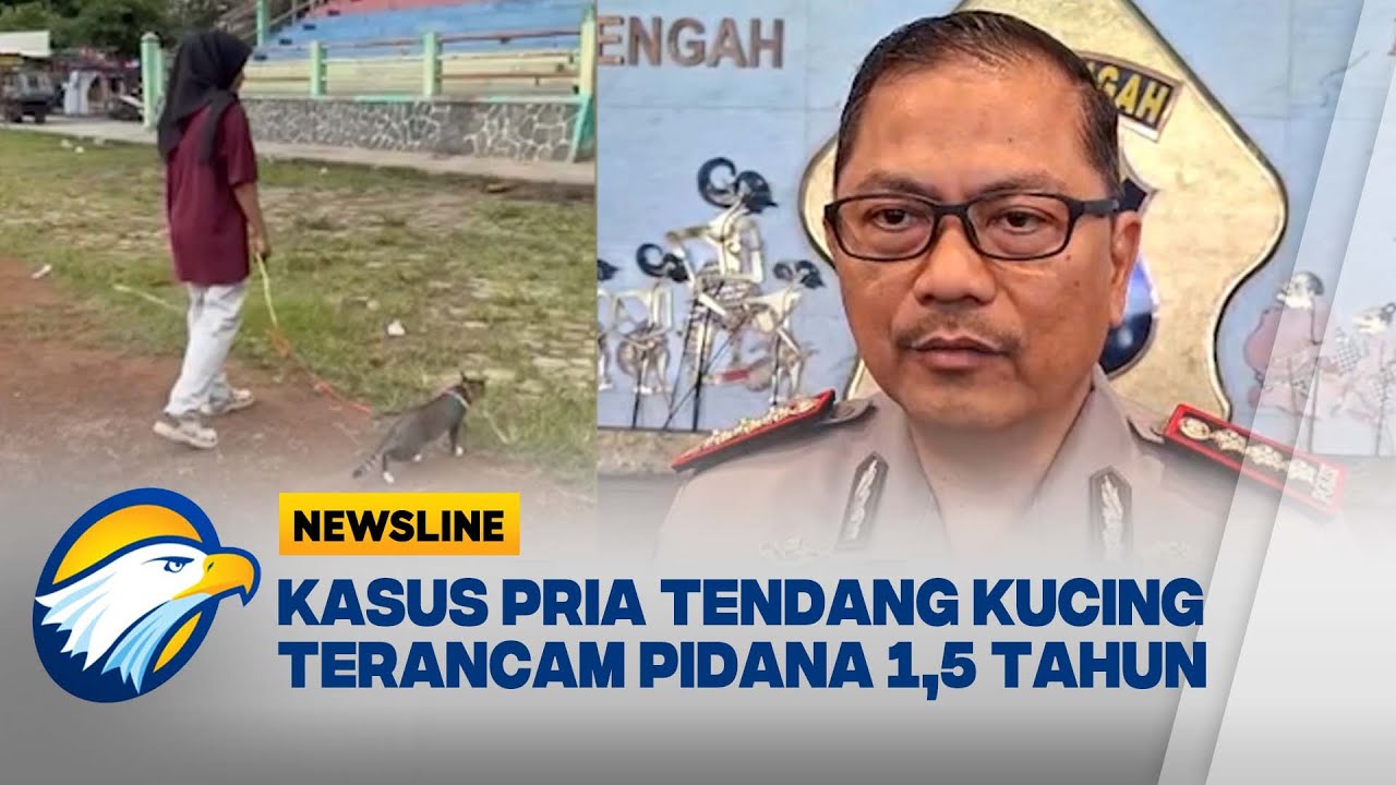 Pensiunan PNS Tendang Kucing Hingga Mati di Blora [Newsline Berkas]