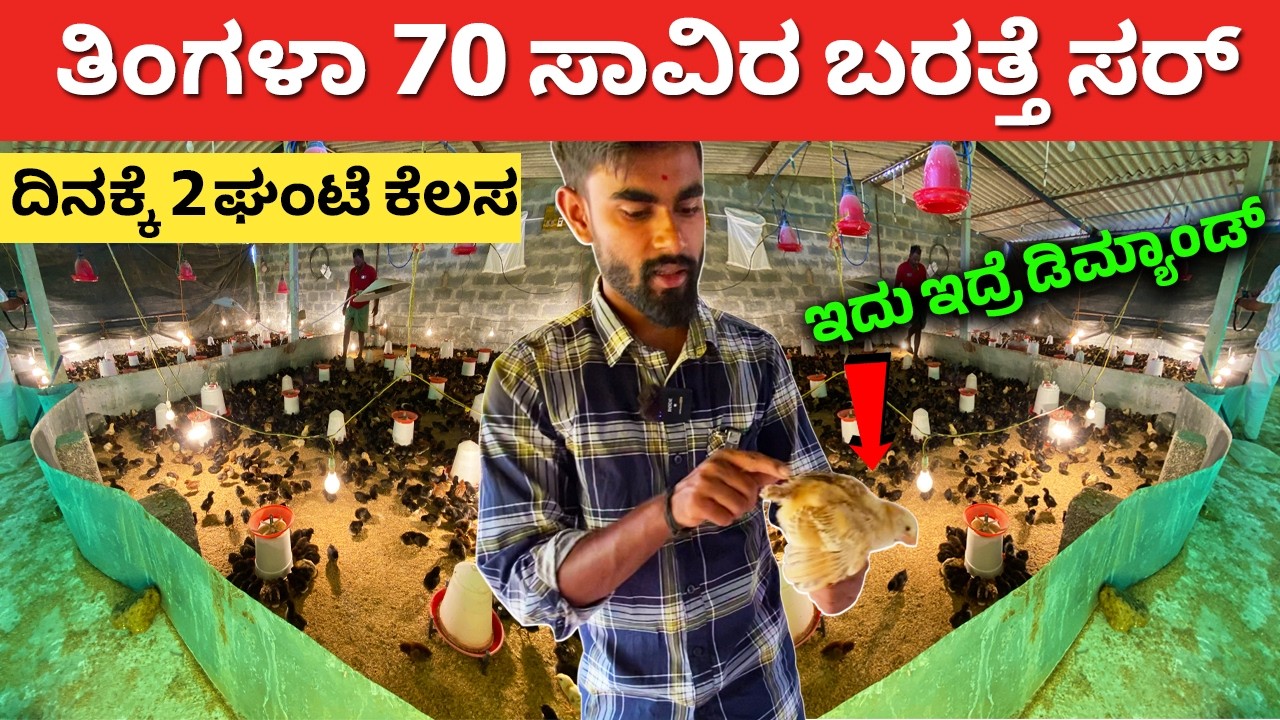 ದಿನಕ್ಕೆ 2 ಘಂಟೆ ತಿಂಗಳಾ 70 ಸಾವಿರ ಬರತ್ತೆ ಸರ್ | Nati Koli farming in Kannada | latest Poultry farm ideas