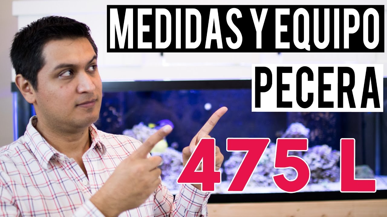 Medidas y equipo de mi nueva pecera de 475 litros