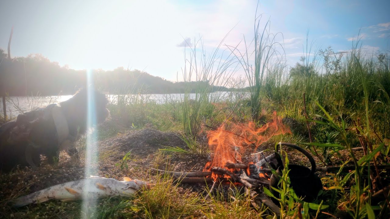 🔥🔥PESCA en INCREIBLE LUGAR TARARIRAS DORADOS BAGRES en el Gualeguay PESCA Y COCINA