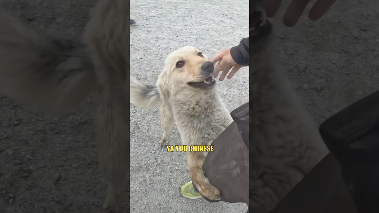 Жизнь в горном городке в Пакистане