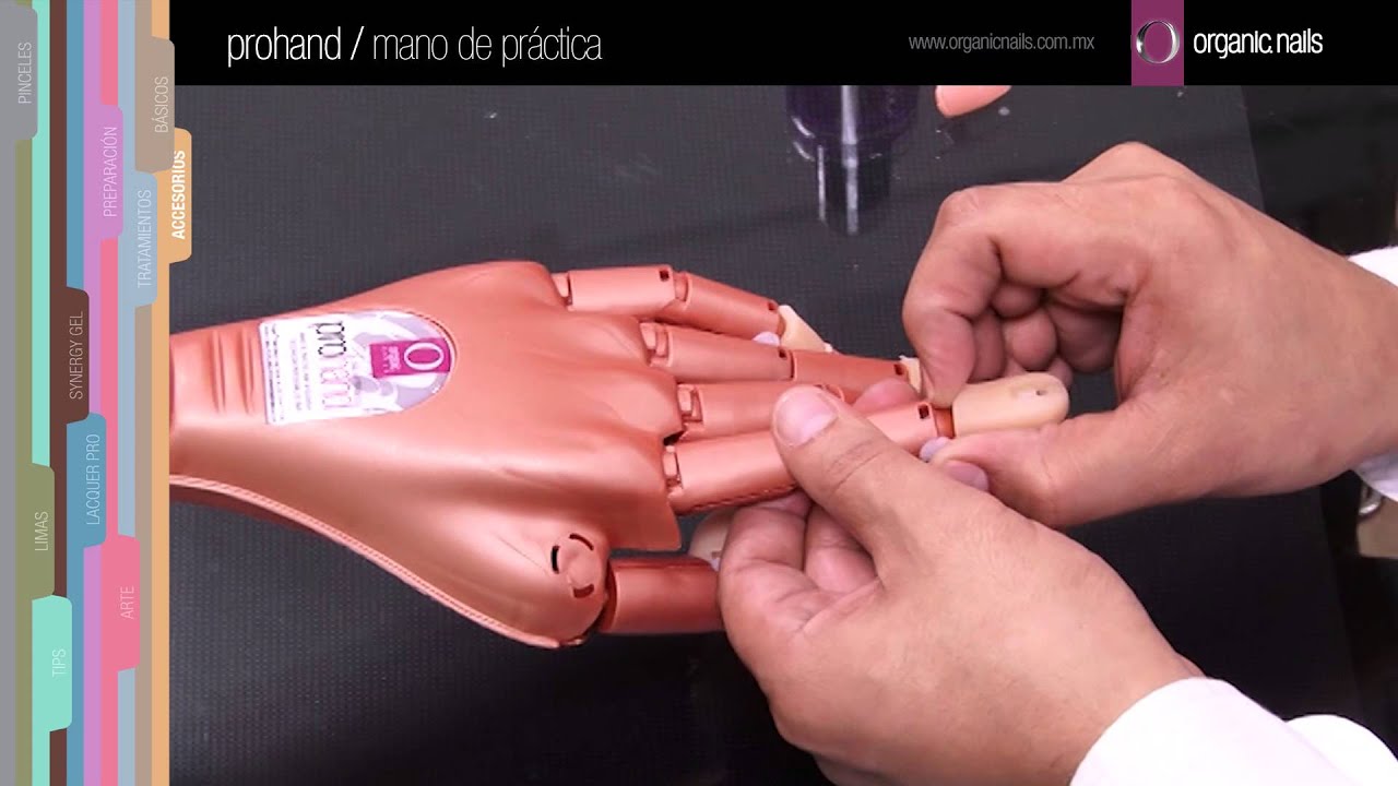 Prohand / Mano de práctica Organic Nails