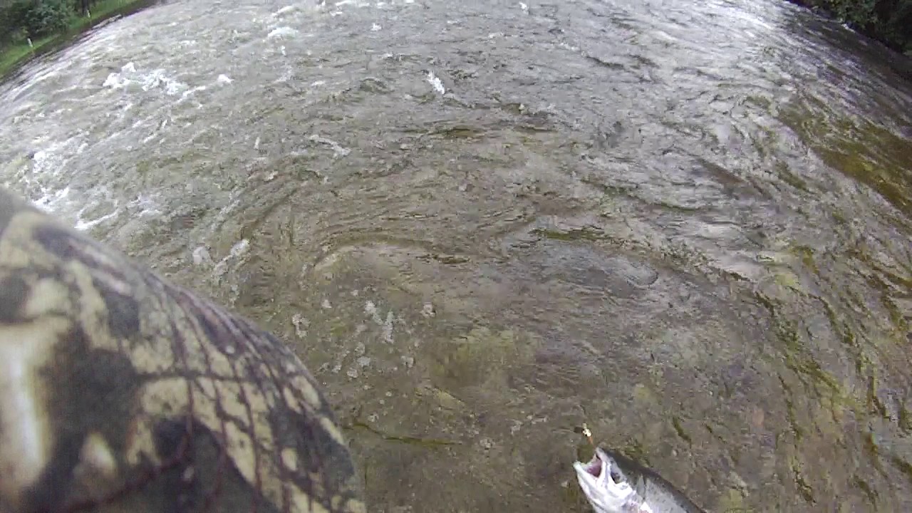 Laksefiske Dirdal 4.2kg uten håv