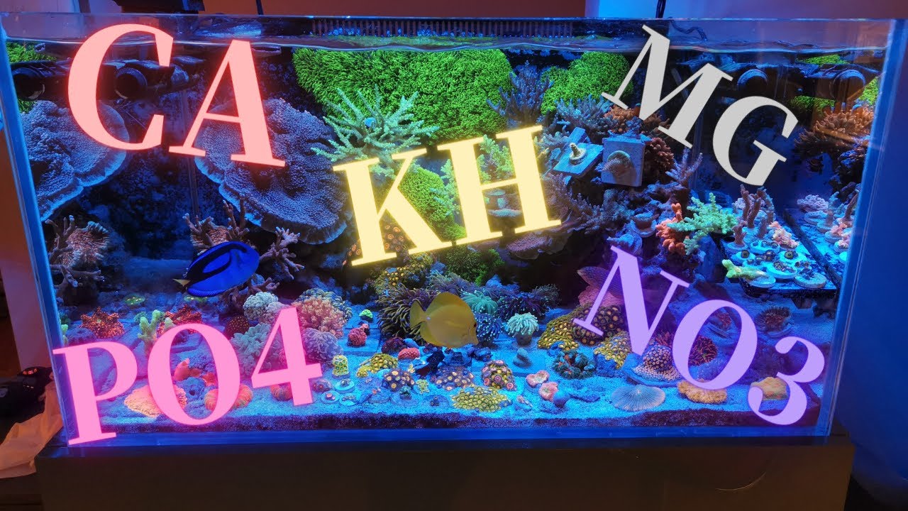 纯干货！海缸各大元素测试与滴定