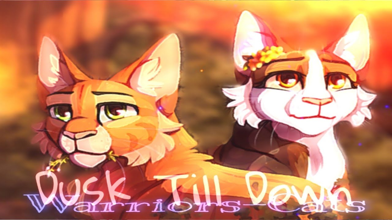 Fire Star and Spottedleaf•||• Dusk Till Dawn•||• Warriors-Cats•||• WC/CW•||•