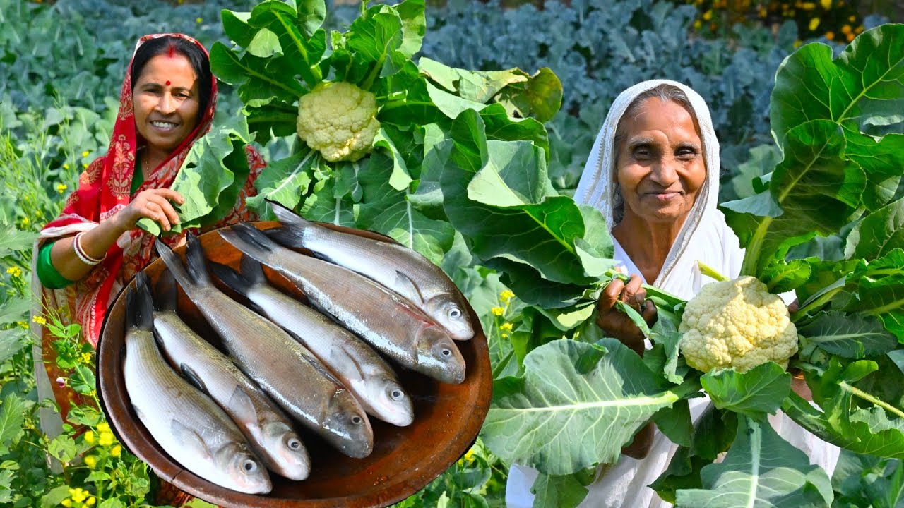 জীবনের প্রথম খাওয়া ঘুড়িষা মাছ দিয়ে বাগানের শীতের ফুলকপি রান্না | Ghurisha fish & Cauliflower curry