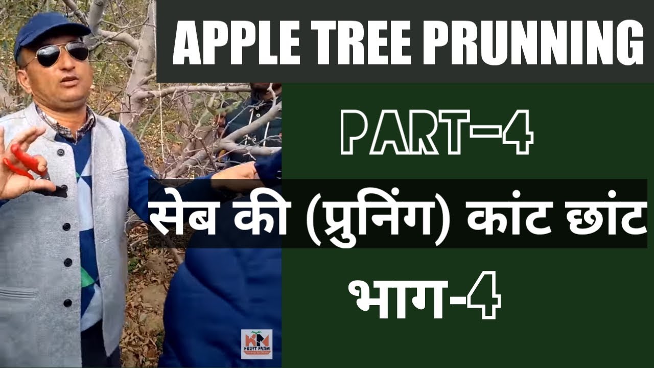 Pruning session by Pankaj Negi part-4