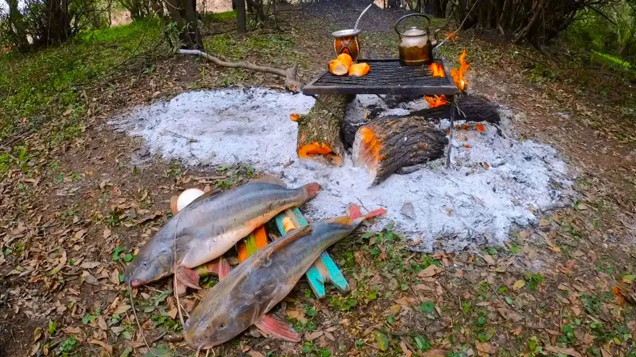 Pesca, Cocina y Campamento en Rio Gualeguaychú, Mucha Aventura y Naturaleza, Pesca de Barrio