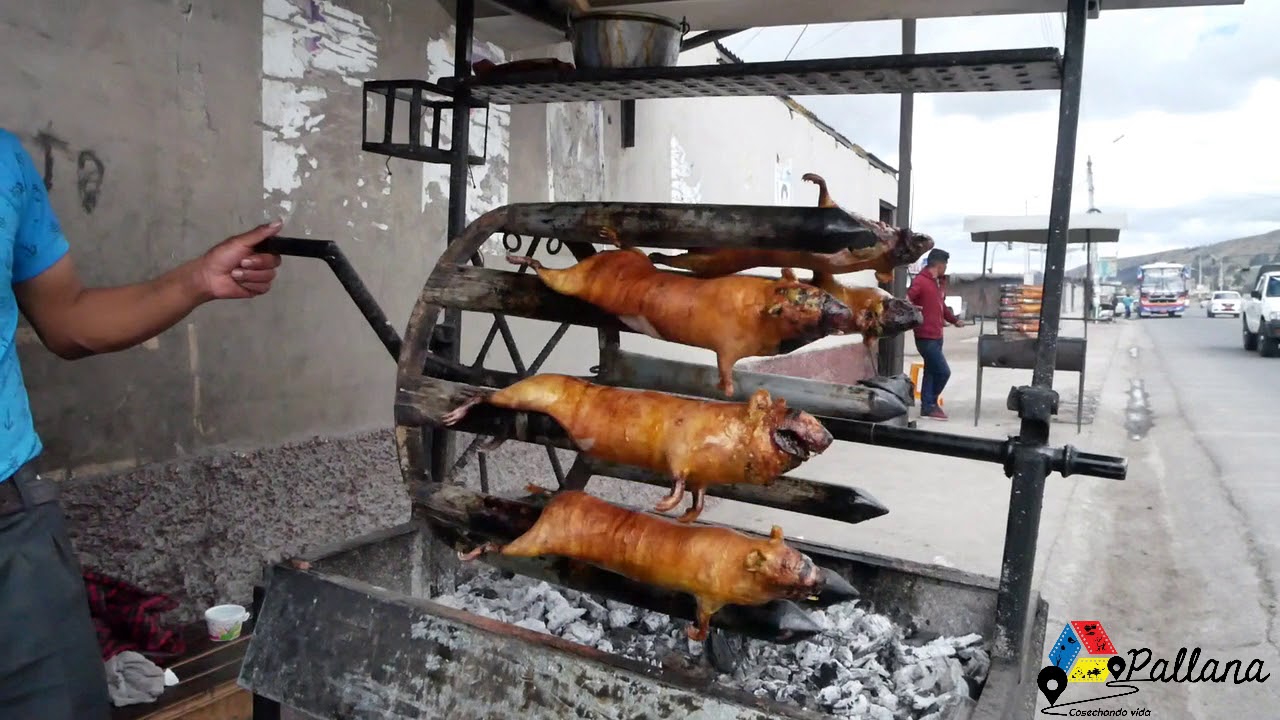 Gastronom&iacute;a en Colta, Chimborazo, Ecuador