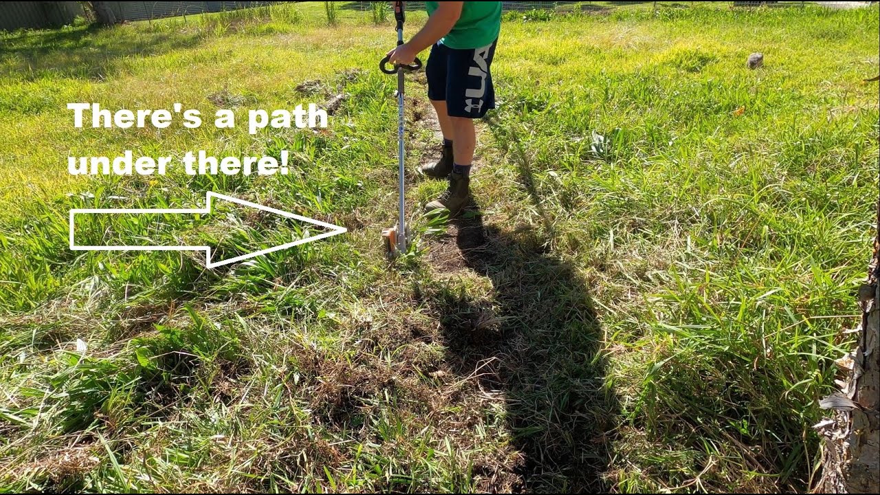 The client was so happy! big yard clean up (VERY SATISFYING)