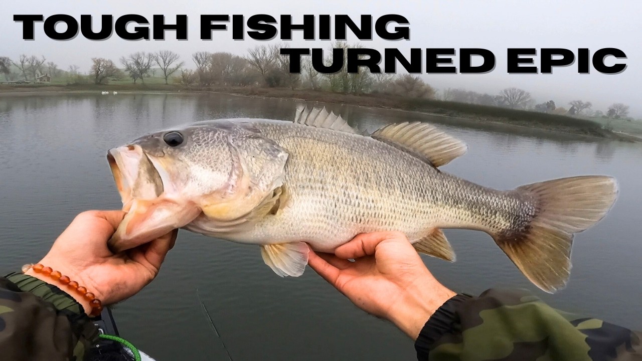 The Best Lure to Trigger Cold Water Bass?