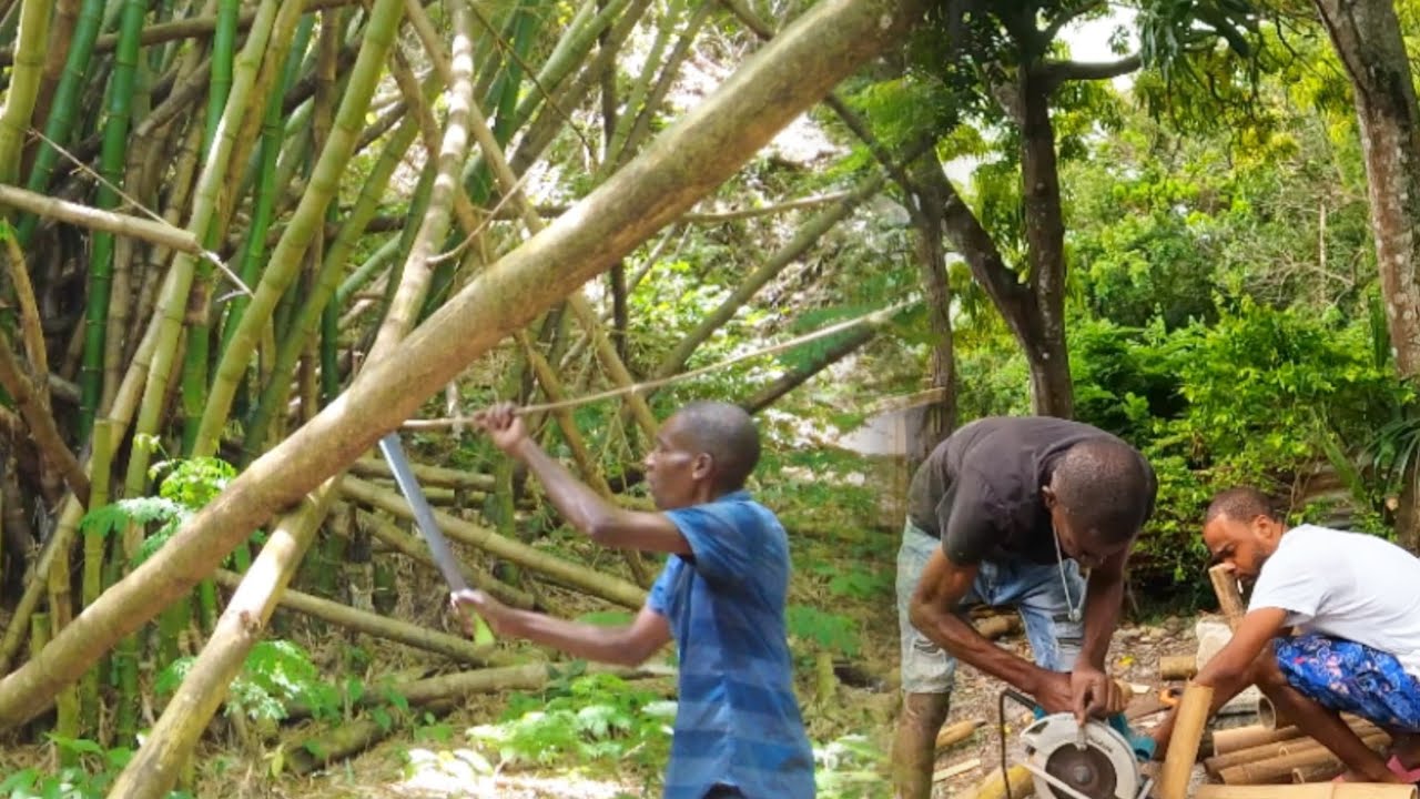 Sunriseboss Copping Bamboo and This Happen Just Because Him Don’t Listen MUST WATCH!