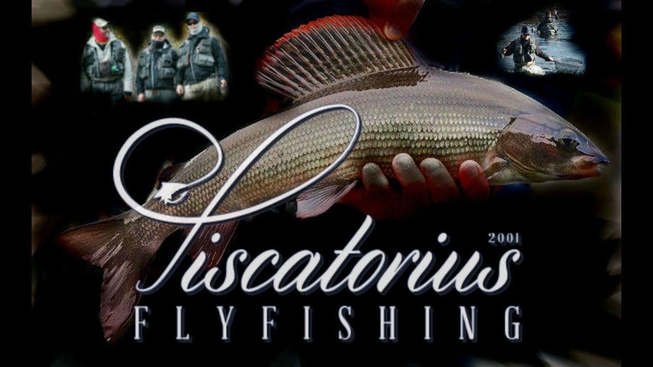Piscatorius Vision Competitive Fly Fishing