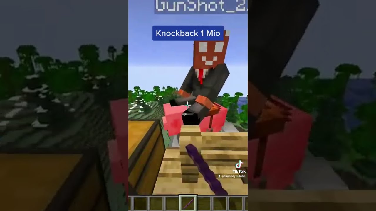 Knockback 1.000.000 in MINECRAFT!!