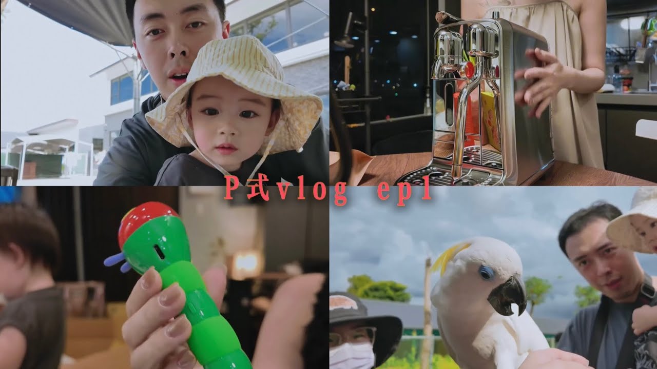 P式VLOG🐑🌳波夏1y10m／正式回歸YT／張美阿嬤農場／618買什麼／台中信誼小書房／米其林冰淇淋／兩款點讀筆開箱／