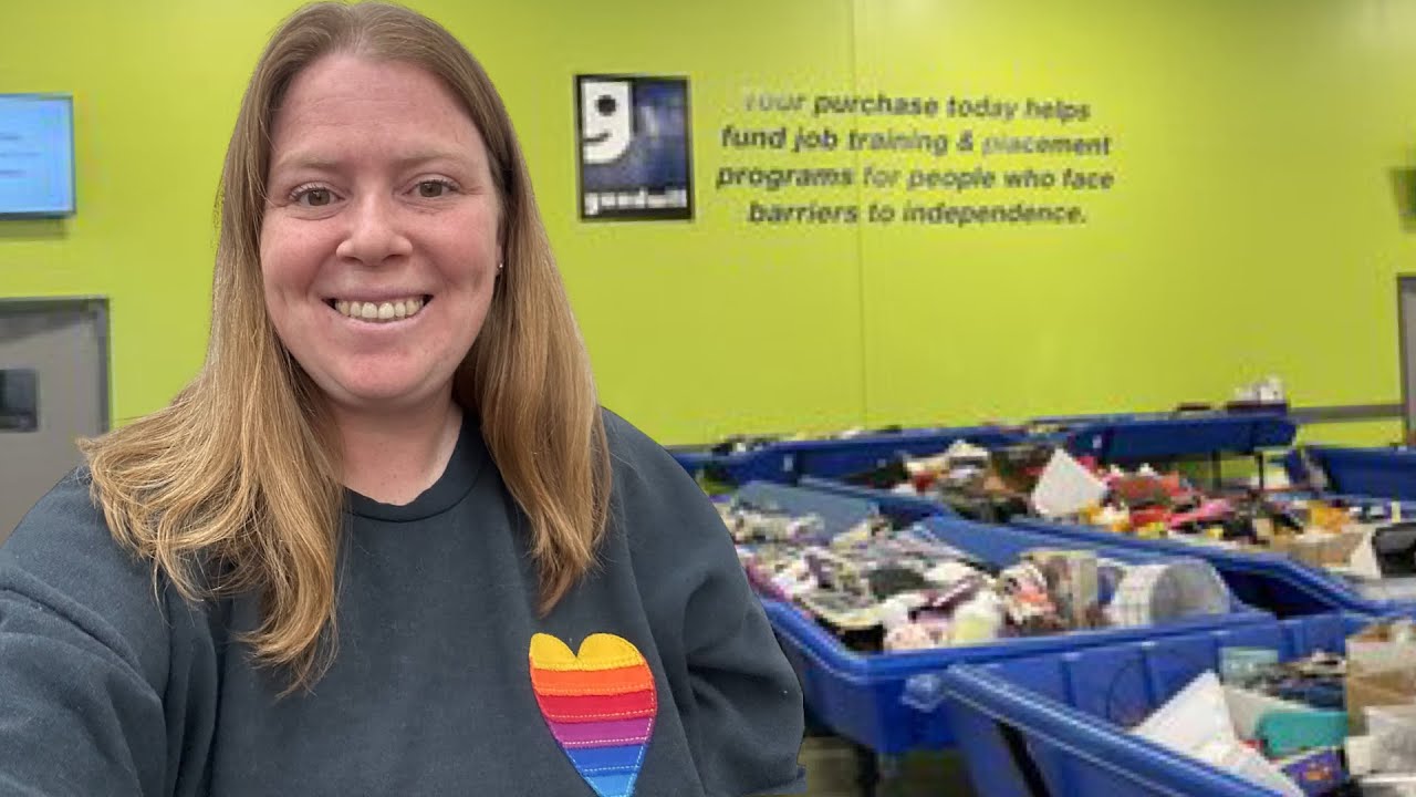 Process My Goodwill Bins Haul Work with Me 