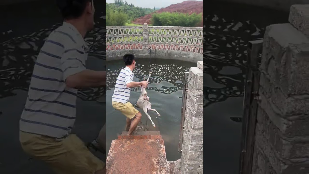 #fishingtechniques #fishing #fishingtips #anglerlife #shorts